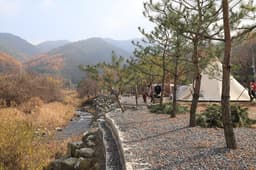 치악산한다리골캠핑장