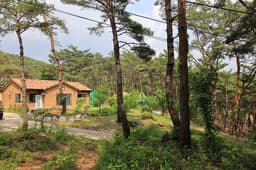 한반도 솔숲 쉼터