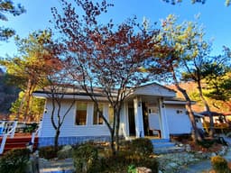 평창 다온숲 펜션