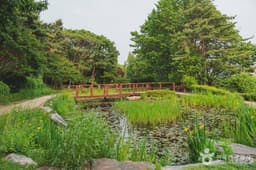 남산 야외식물원