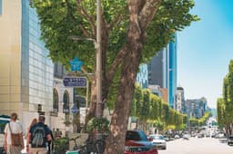 케이스타로드(KstarROAD)