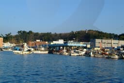 울진 앞바다를 보며 문화와 풍광에 젖어들다