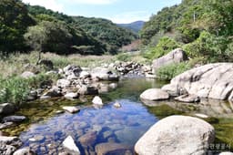 백운산 동곡계곡