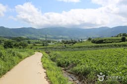 자연 속에서 더 깊게 다가오는 역사