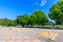 안림딸기마을 캠핑장