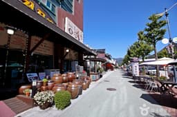 속리산 산채비빔밥 거리