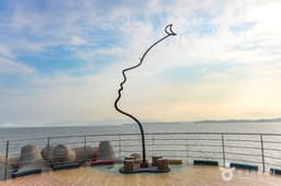 그리움이 물들면