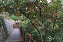 한양도성 안 궁궐과 학교이야기