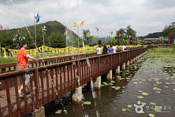 반딧불이 아름다운 청정 무주에서 즐기기 [웰촌]