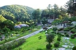 수목원프로방스 캠핑장