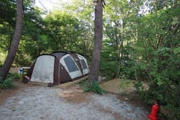 밤별생각 낮달이야기