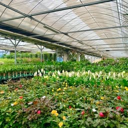 남사화훼집하장