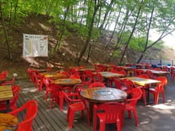 대들보정육점식당