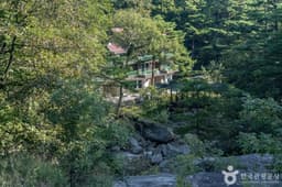 국립대관령자연휴양림