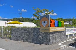 춘천시 반려견놀이터 같이놀개