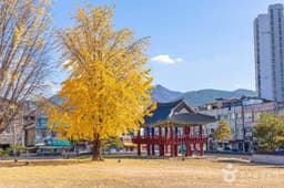 자규루 및 관풍헌