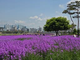 영천생태지구공원