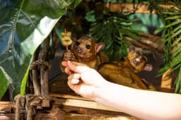 주렁주렁 경주점