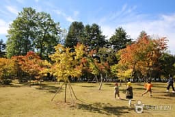 계곡미가 빼어난 가평의 단풍 명소