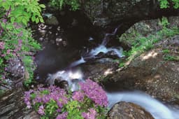 캠핑 레포츠하기 좋은 백학동 마을 코스 [웰촌]