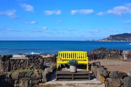 바다위에코끼리