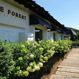 더포레스트카페