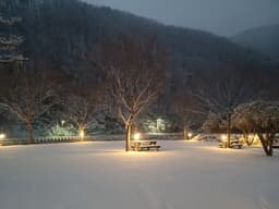 수입리캠핑장