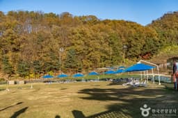 양지파인펫파크