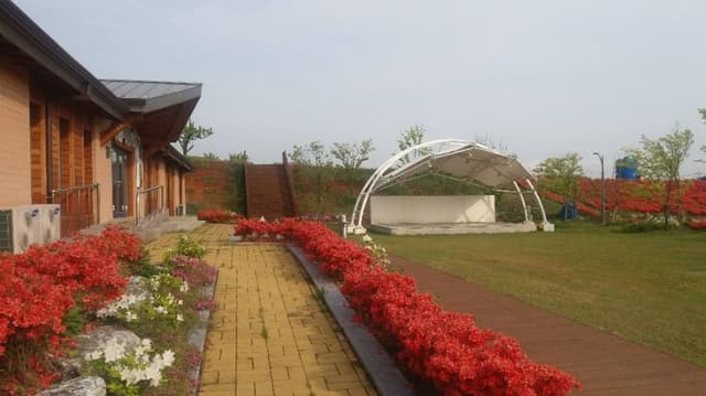 Image 19