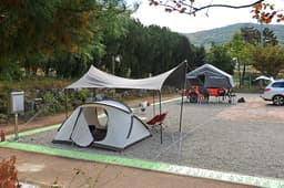 청광새들녘캠핑
