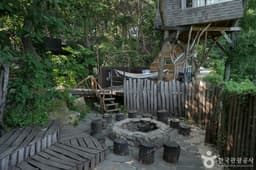 톰아저씨 트리하우스