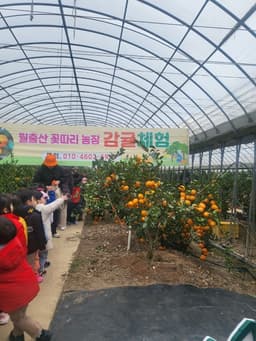 농업회사법인주식회사 월출산꽃따리농장