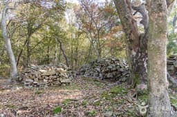 괴산 문당리 서낭단