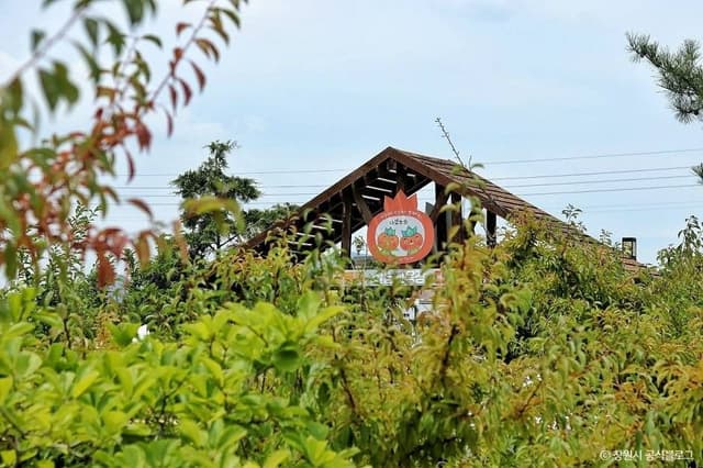 Image 13