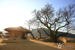 내성천 물길이 만들어내는 아름다운 풍경을 만나다