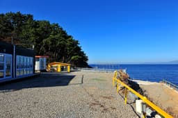 욕지도청보리오토캠프