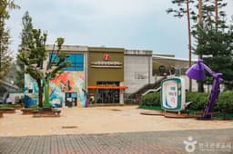 [DMZ 평화의 길] 장항습지생태 코스