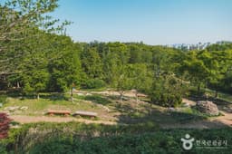 대모산숲속야생화원