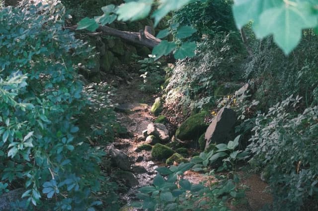 Image 13