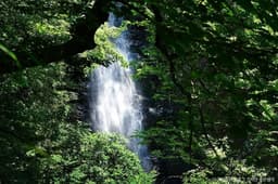 지리산국립공원(하동)