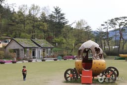 용천사 붉은 꽃무릇 보러 갈까?