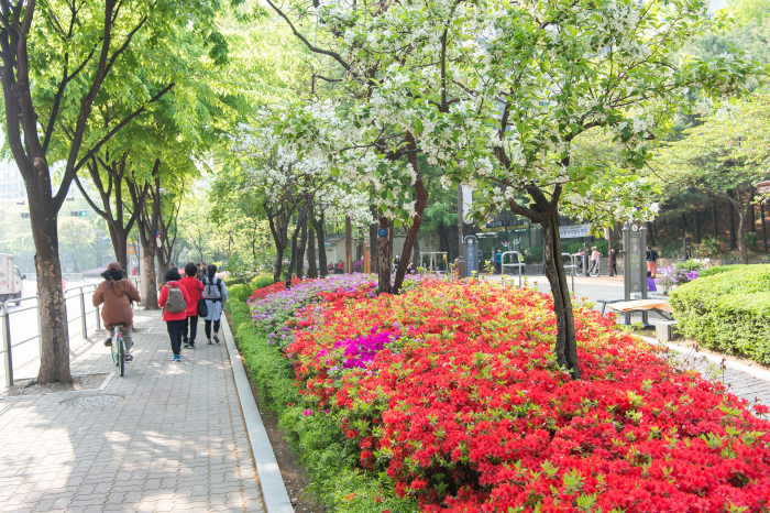 [양천구 둘레길] 도심형코스