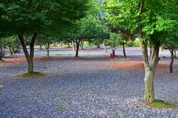 대둔산 그린시티 캠핑장