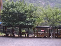 둥지펜션캠핑장