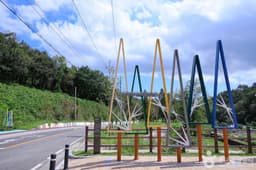 두왕 메타세쿼이아길