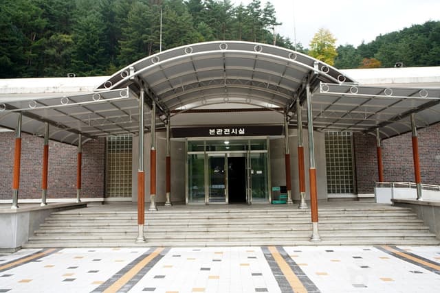 Image 11