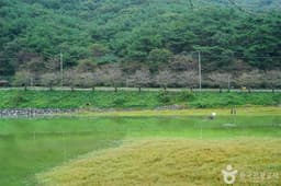 고남 저수지