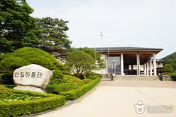 무성한 나무숲 길의 힐링 산책