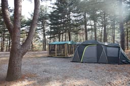 힐링별밤수목원캠핑장