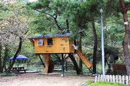 트리하우스계곡야영장